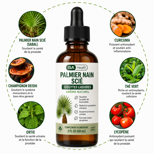 Palmier Nain Scié Gouttes | Prostate & Confort Urinaire