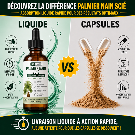 Palmier Nain Scié Gouttes | Prostate & Confort Urinaire