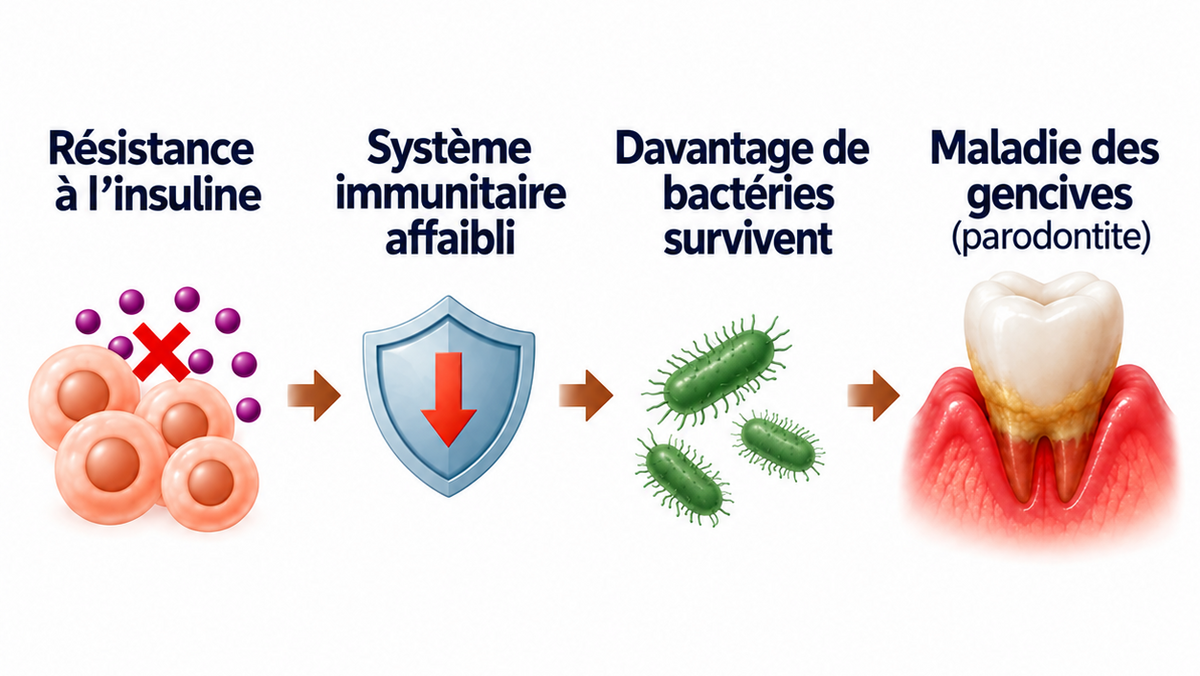 Rétablir la sensibilité à l’insuline (la vraie raison pour laquelle votre glycémie ne baisse pas)