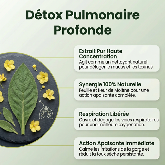 Extrait Pur de Molène | Formule Détox Pulmonaire