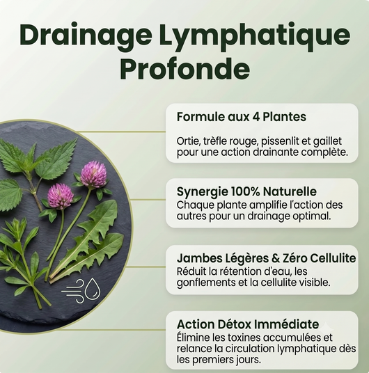 Drainage Lymphatique | Formule Anti-Cellulite & Jambes Légères