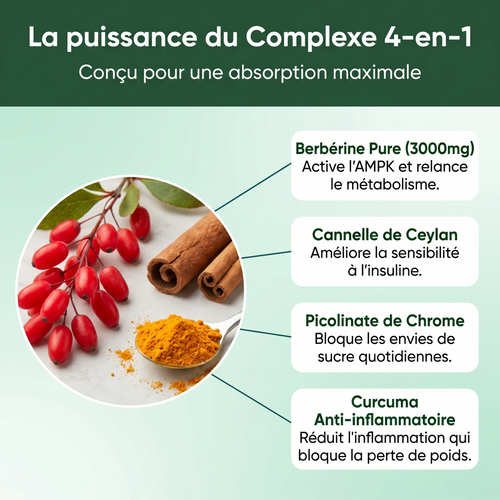 Berbérine Complexe 4-en-1 | Métabolisme & Glycémie