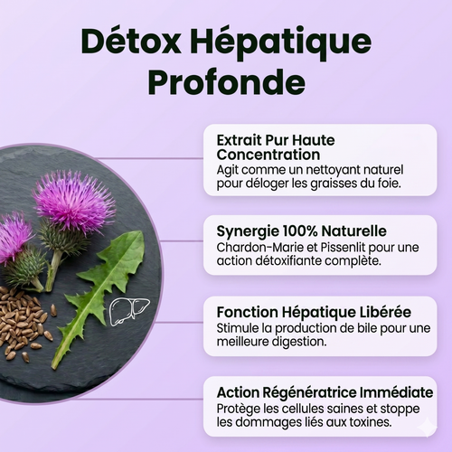 Chardon-Marie & Pissenlit Gouttes | Formule Détox Hépatique