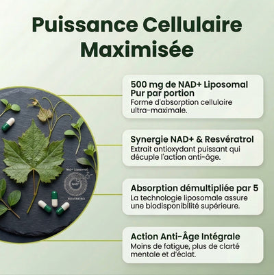 NAD+ Gélules | Formule Anti-Âge