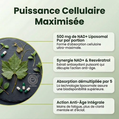NAD+ Gélules | Formule Anti-Âge