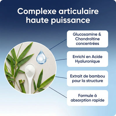 Soutien Articulaire | Glucosamine Chondroitine