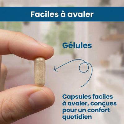 Soutien Articulaire | Glucosamine Chondroitine