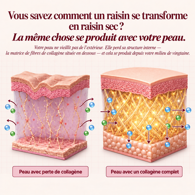 Multi Collagène & Biotine | Formule Beauté Intérieure