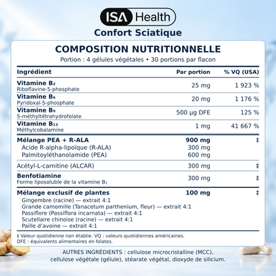 Confort Sciatique | Soutien Nerveux & Jambe Apaisée