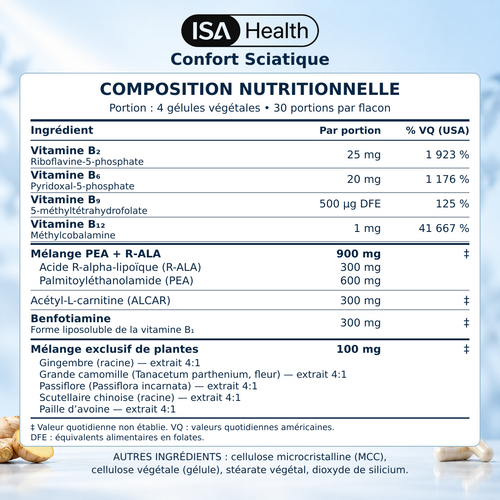 Confort Sciatique | Soutien Nerveux & Jambe Apaisée